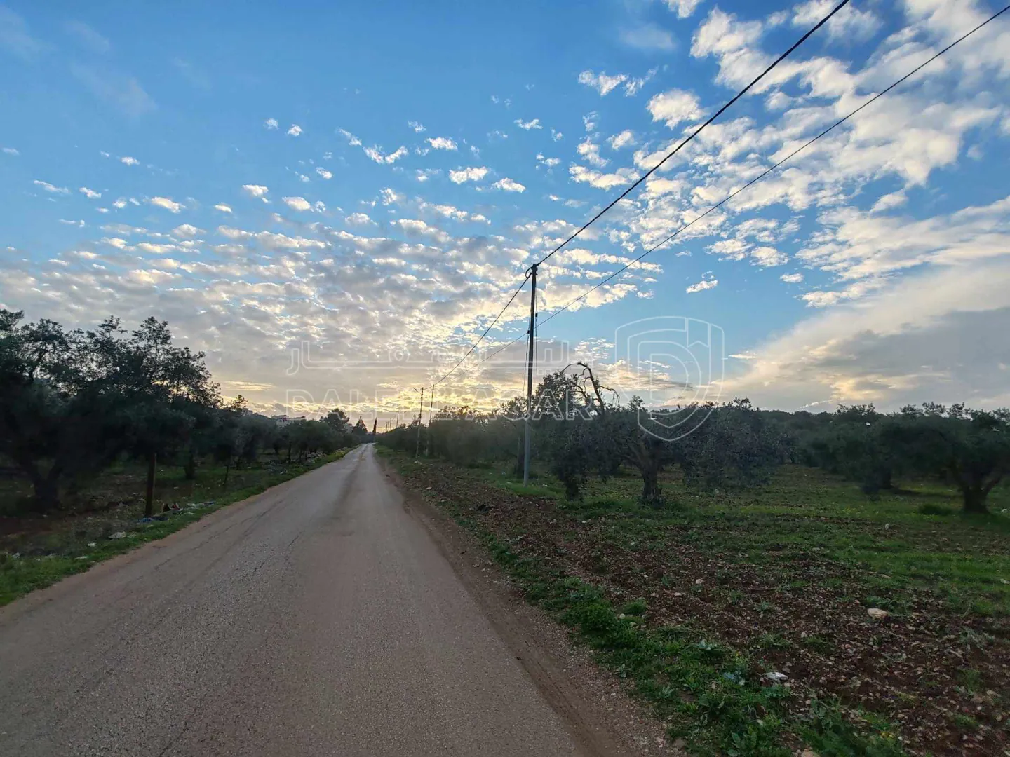 أرض في اربد - مرو - قريب مسجد الفلاح  - 40,000 دأ - صورة 1