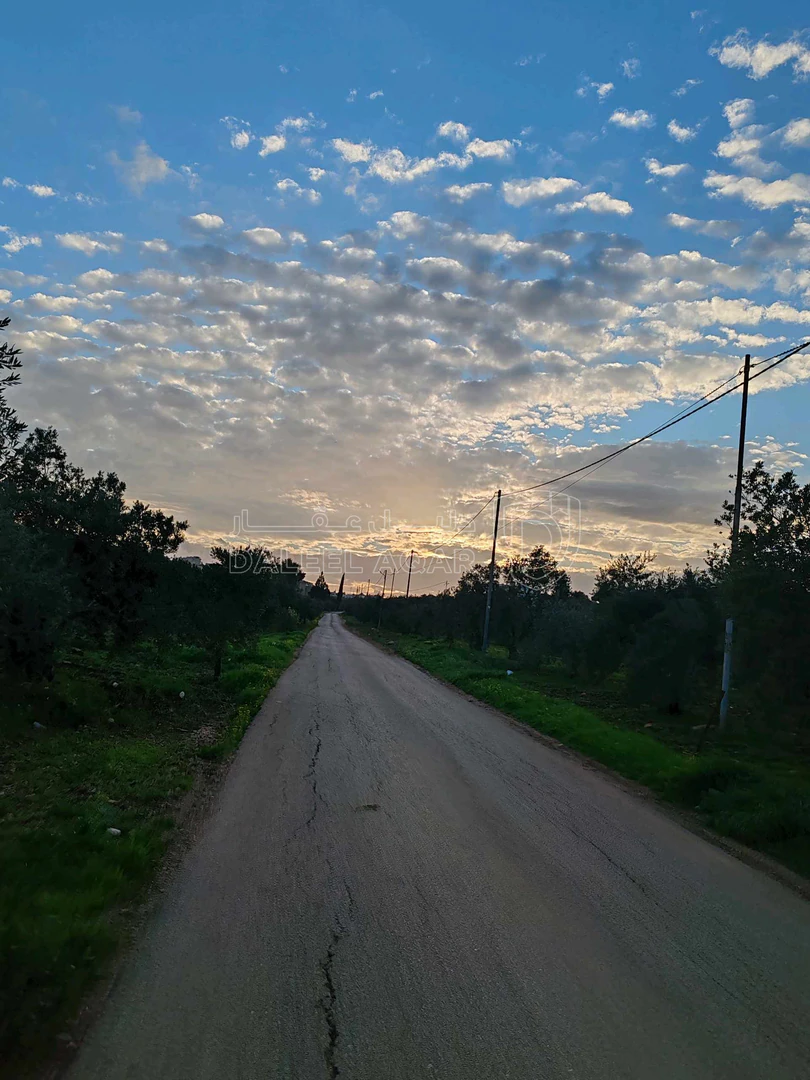 أرض في اربد - مرو - قريب مسجد الفلاح  - 40,000 دأ - صورة 1