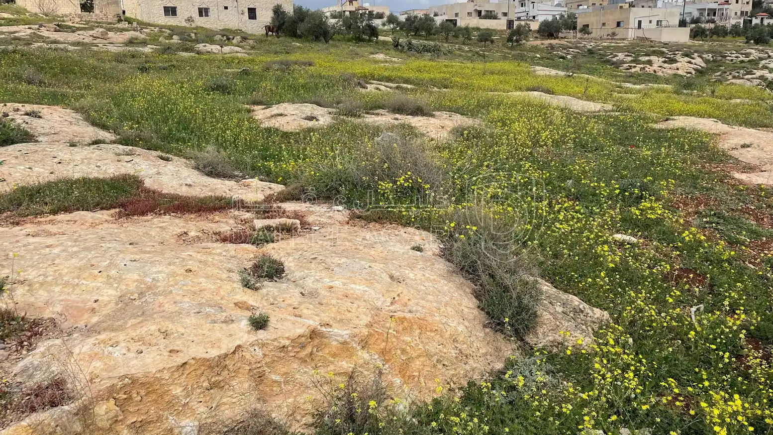 أرض في اربد حور بالقرب من مدرسة حور الأساسية - 20,000 دأ - صورة 1