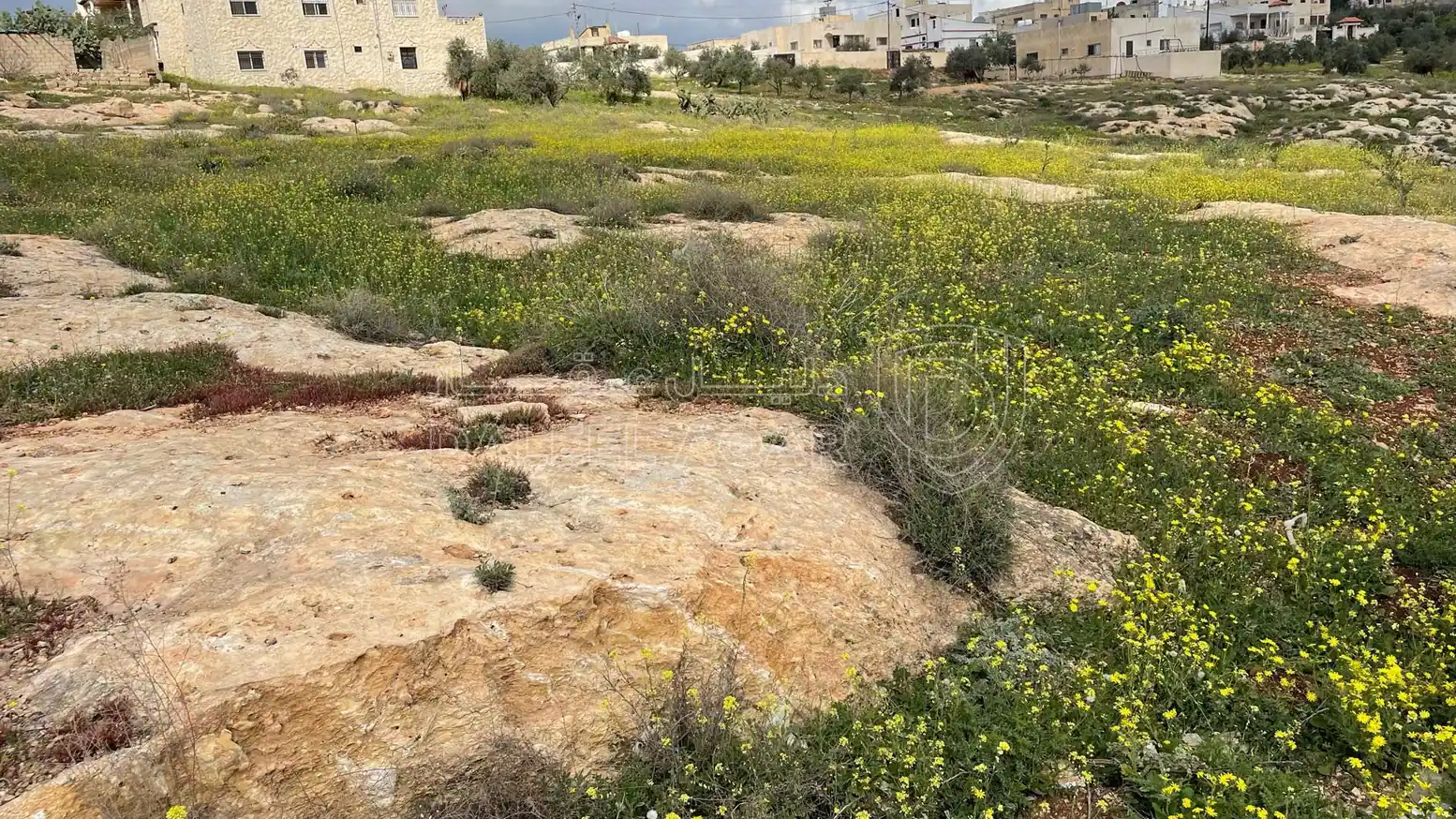 أرض في اربد حور بالقرب من مدرسة حور الأساسية - 20,000 دأ - صورة 1