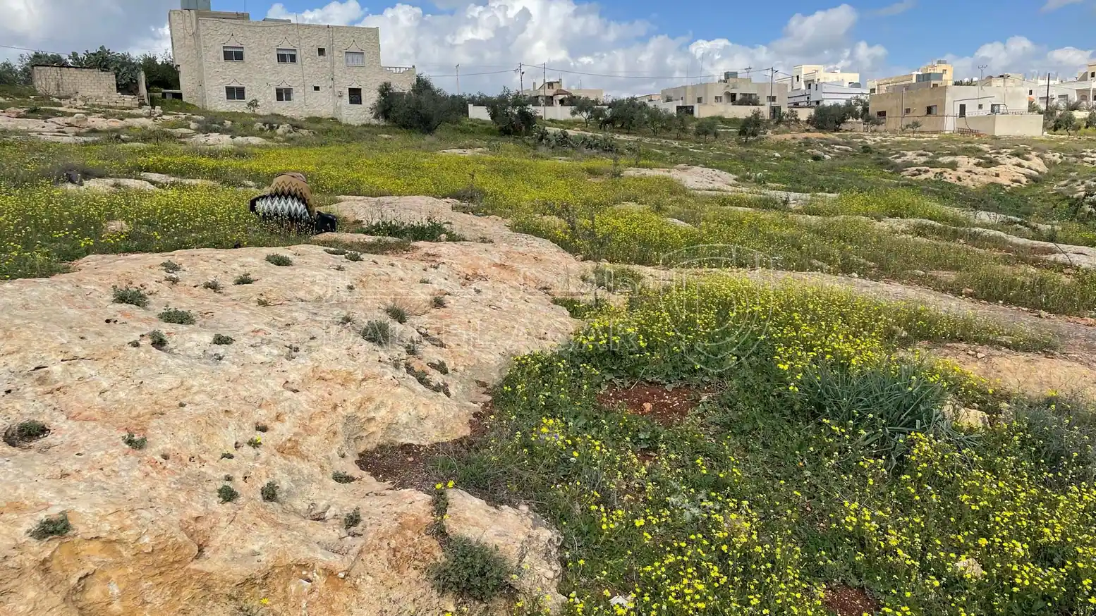 أرض في اربد حور بالقرب من مدرسة حور الأساسية - 20,000 دأ - صورة 1