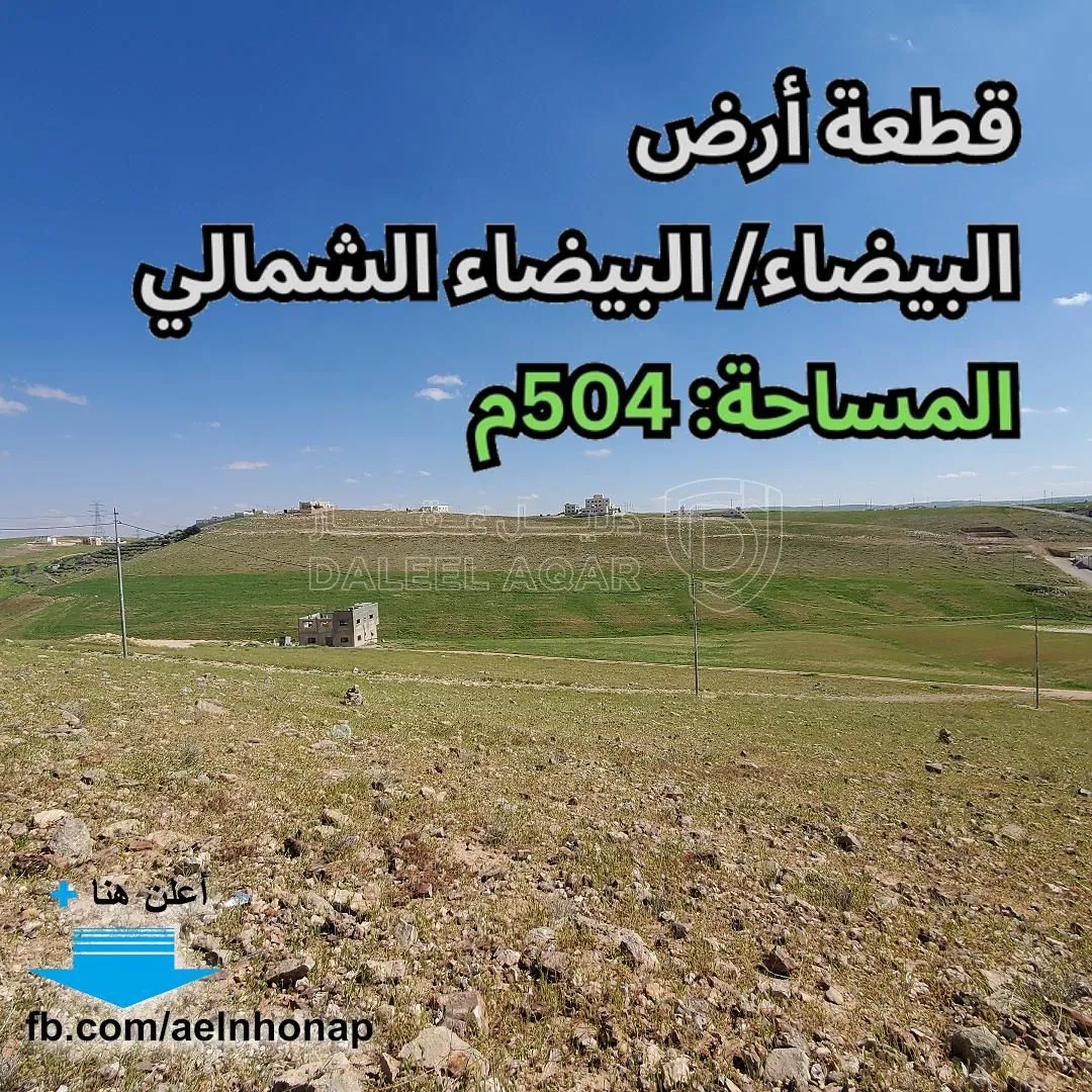 أرض في البيضاء- تبعد 480م عن مدرسة البيضاء الشمالي - 24,000 دأ - صورة 1
