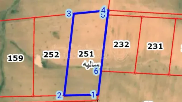 أرض في للبيع:  أرض استثمارية مميزة في جنوب عمان (ساليه)  - 10,500 دأ - صورة 1