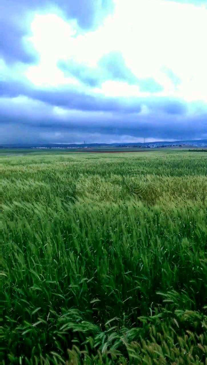 أرض في ارض باطلالة مميزة على جامعة العلوم والتكنولوجيا - 120,000 دأ - صورة 1