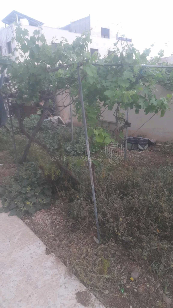 شقة في البنيات شارع الاشعاع عماره  9 - 70,000 دأ - صورة 1