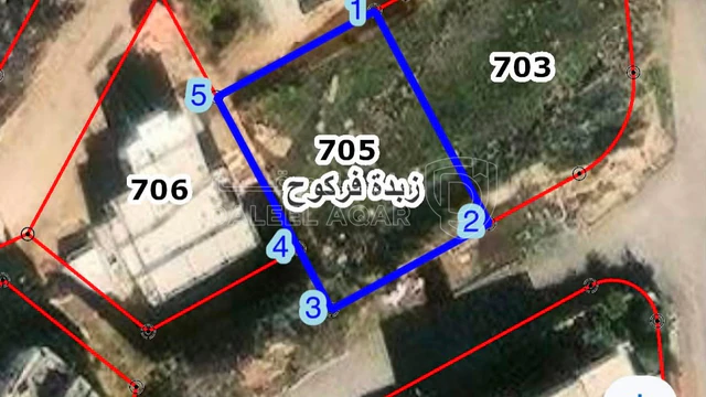 أرض -  الموقع: إربد / زبدة فركوح – حوض الظهر (قطعة 705) - 60000 دأ