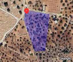 أرض - جرش مقبلة الحسبان  - 85000 دأ