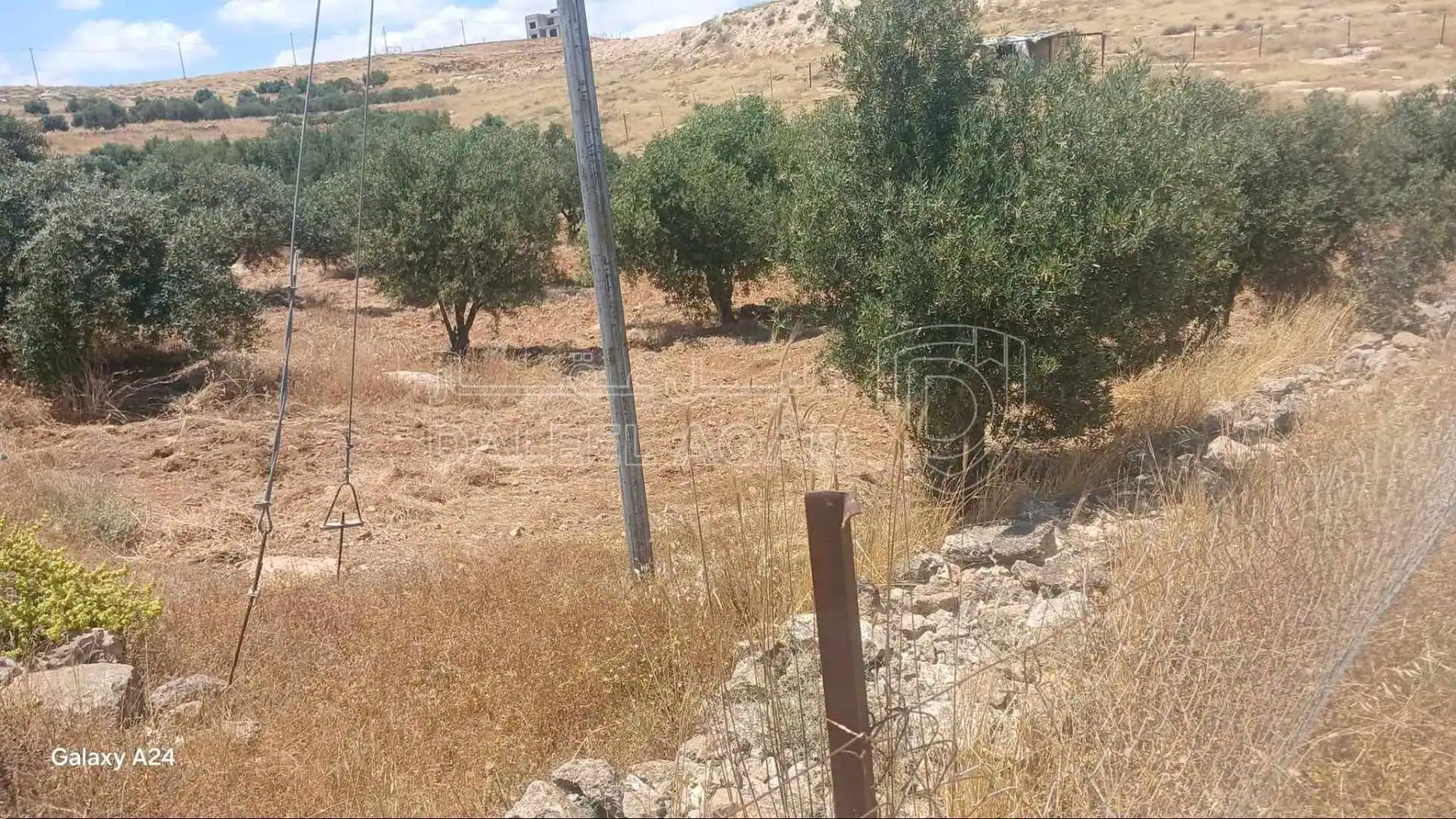 أرض في قطعه ارض بالقرب من استيراد اربد الزرقاء منطقه عين  - 19,000 دأ - صورة 1