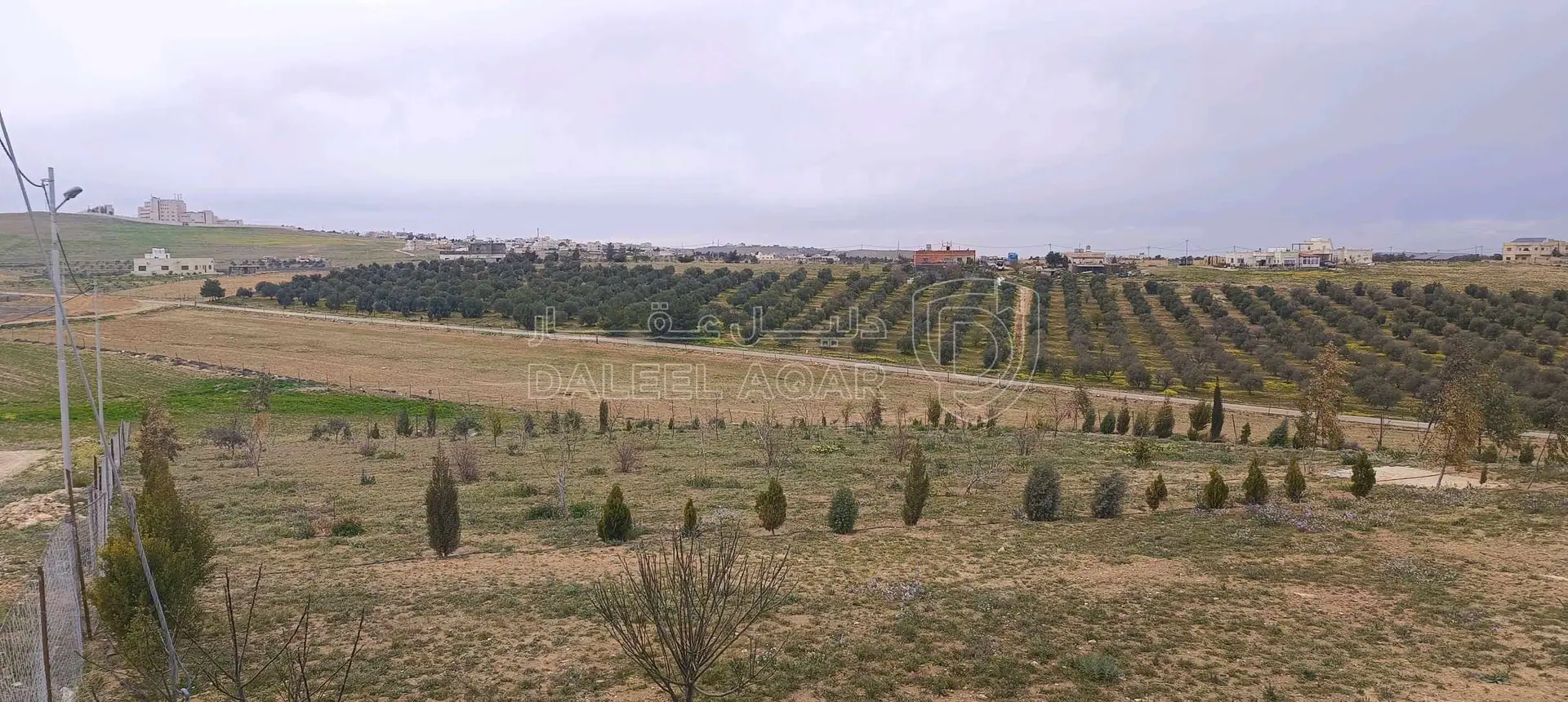 أرض في الطفيلة العيص صويميح - 50,000 دأ - صورة 1