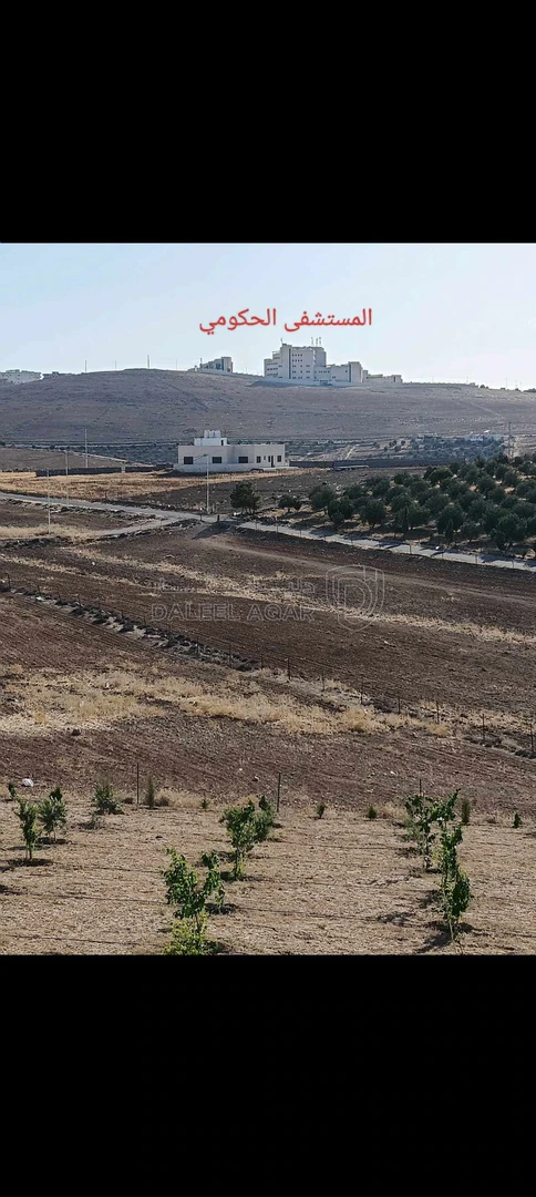 أرض في الطفيلة العيص صويميح - 50,000 دأ - صورة 1