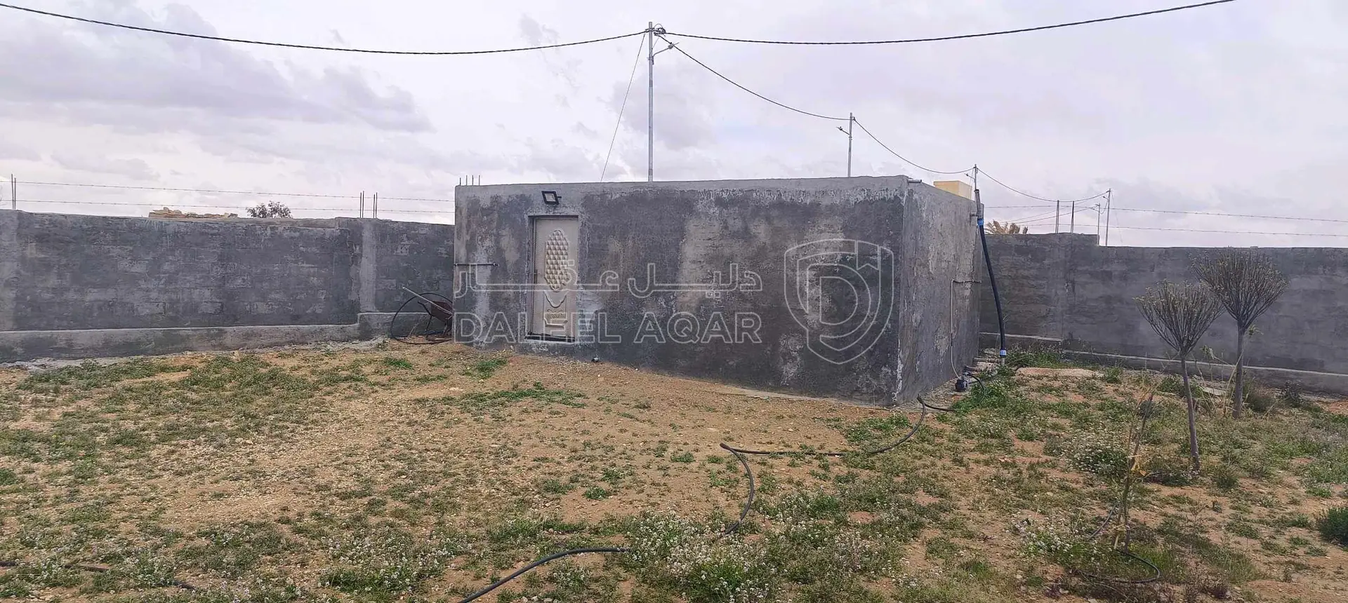 أرض في الطفيلة العيص صويميح - 50,000 دأ - صورة 1