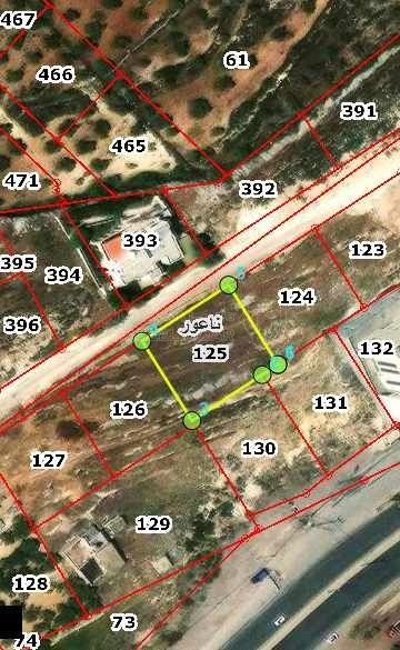 أرض في ناعور اول شارع القدس طريق البحر الميت - 204,000 دأ - صورة 1