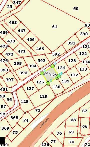 أرض في ناعور اول شارع القدس طريق البحر الميت - 204,000 دأ - صورة 1