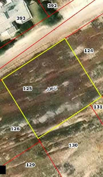 أرض في ناعور اول شارع القدس طريق البحر الميت - 204,000 دأ - صورة 1