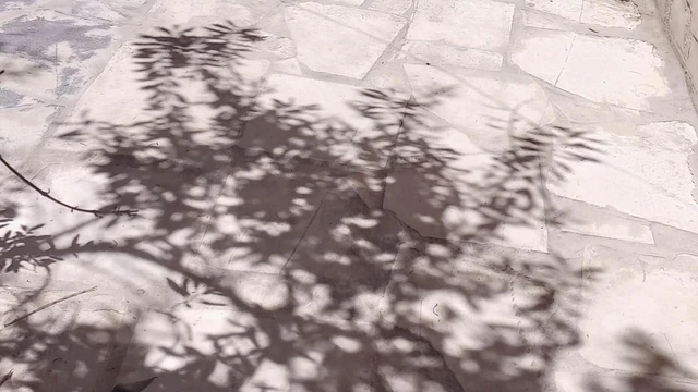 فيلا/منزل - الزرقاء حي الحسين  - 43000 دأ