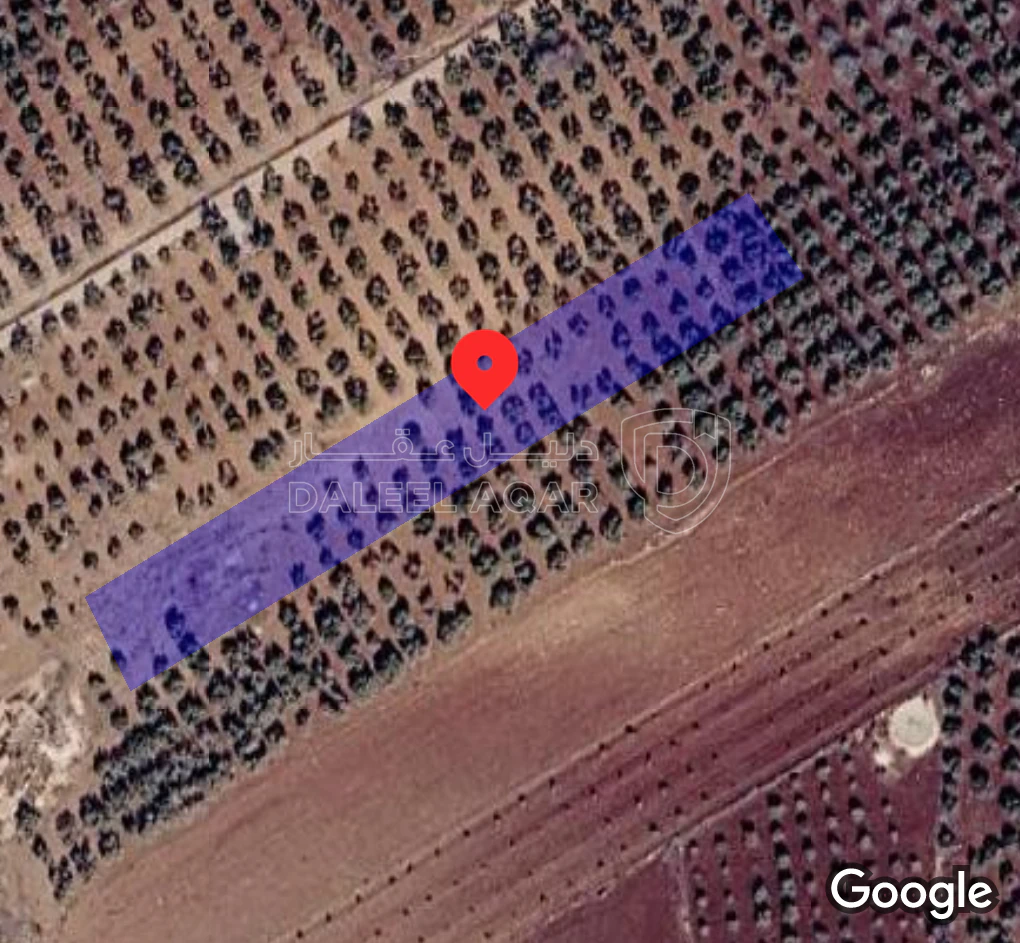 أرض في سما الروسان - 19,500 دأ - صورة 1