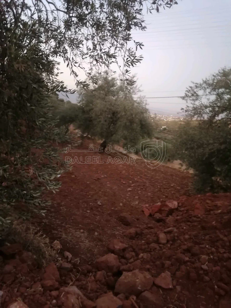 أرض في السلط الديره - 70,000 دأ - صورة 1