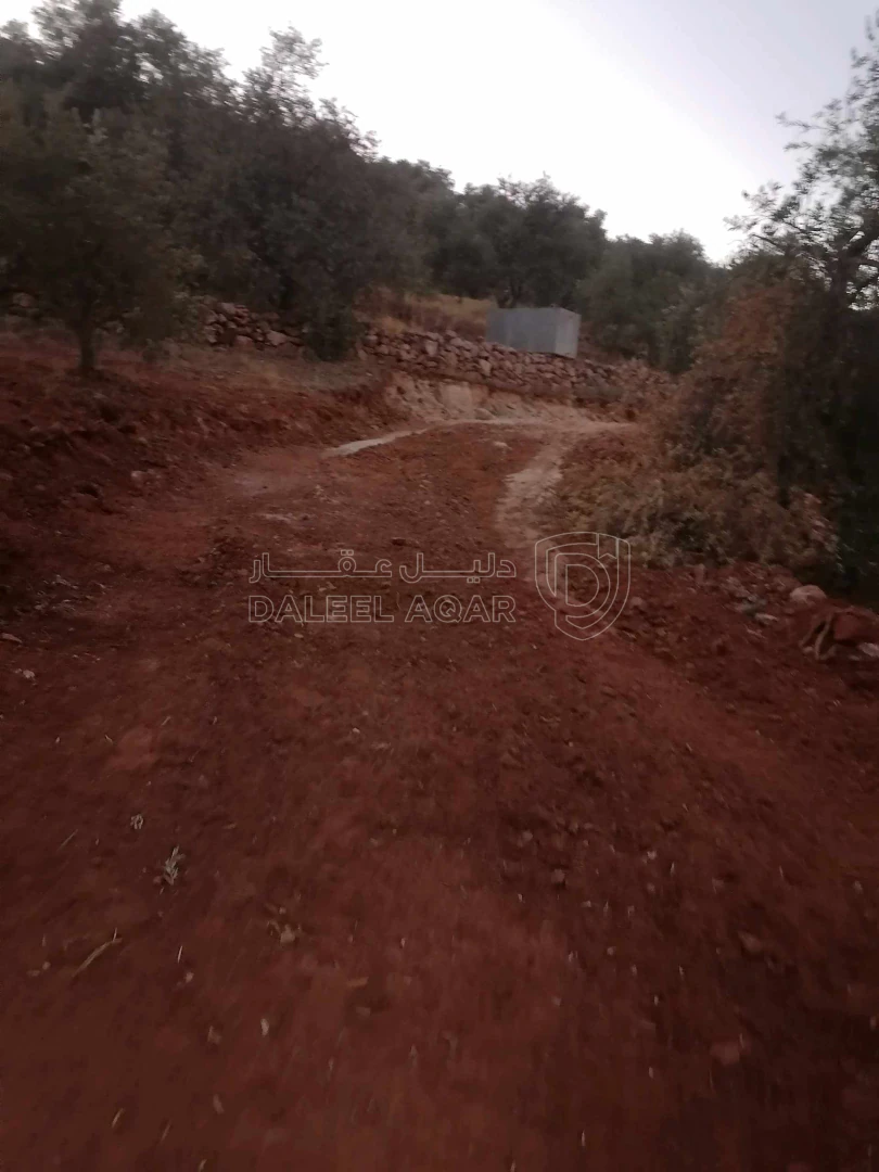أرض في السلط الديره - 70,000 دأ - صورة 1