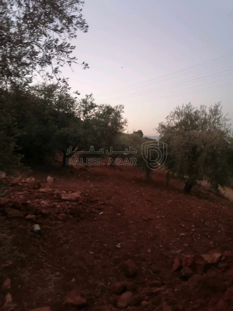 أرض في السلط الديره - 70,000 دأ - صورة 1