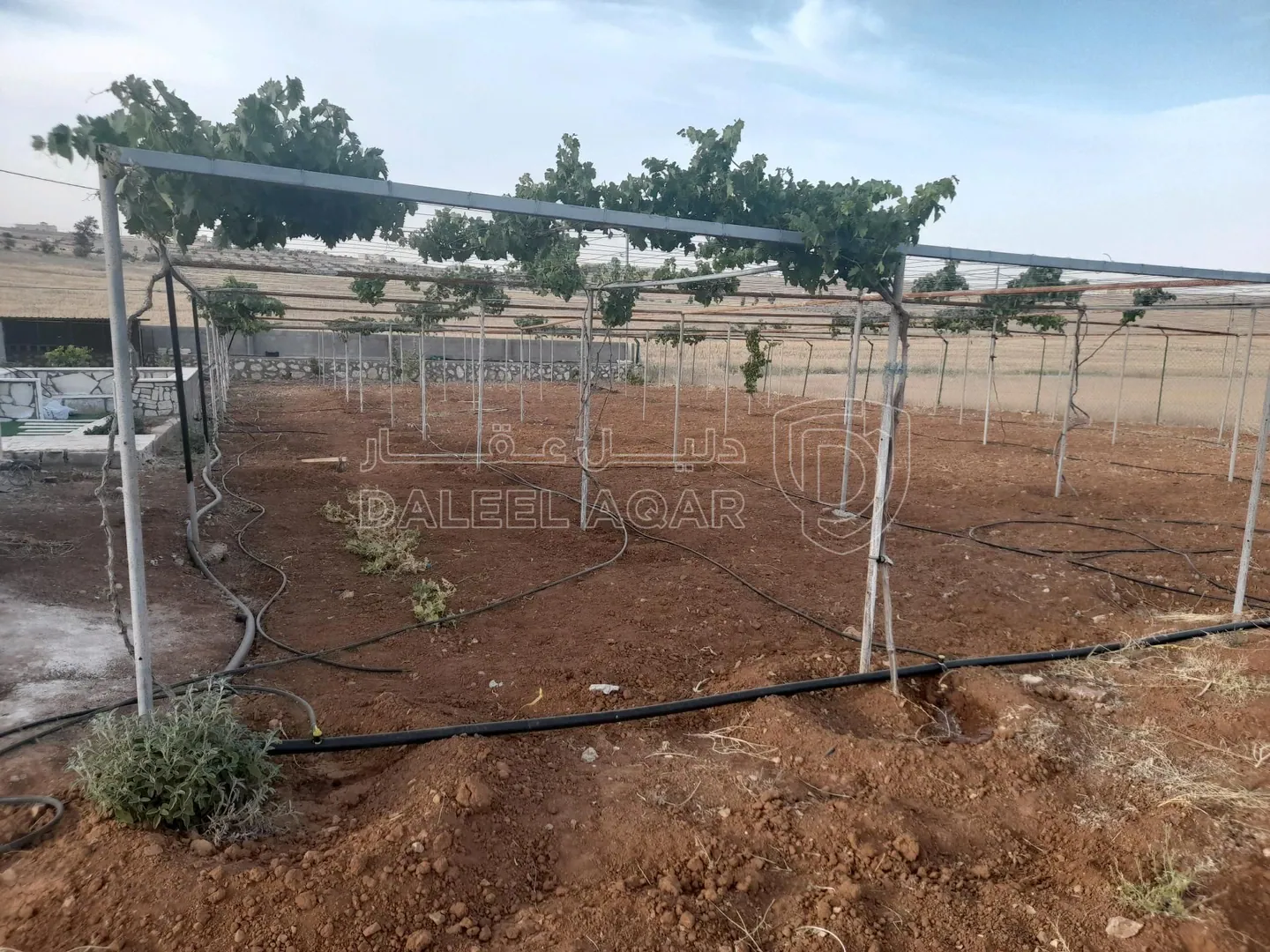 أرض في المفرق البويضه حوض دلعب - 40,000 دأ - صورة 1