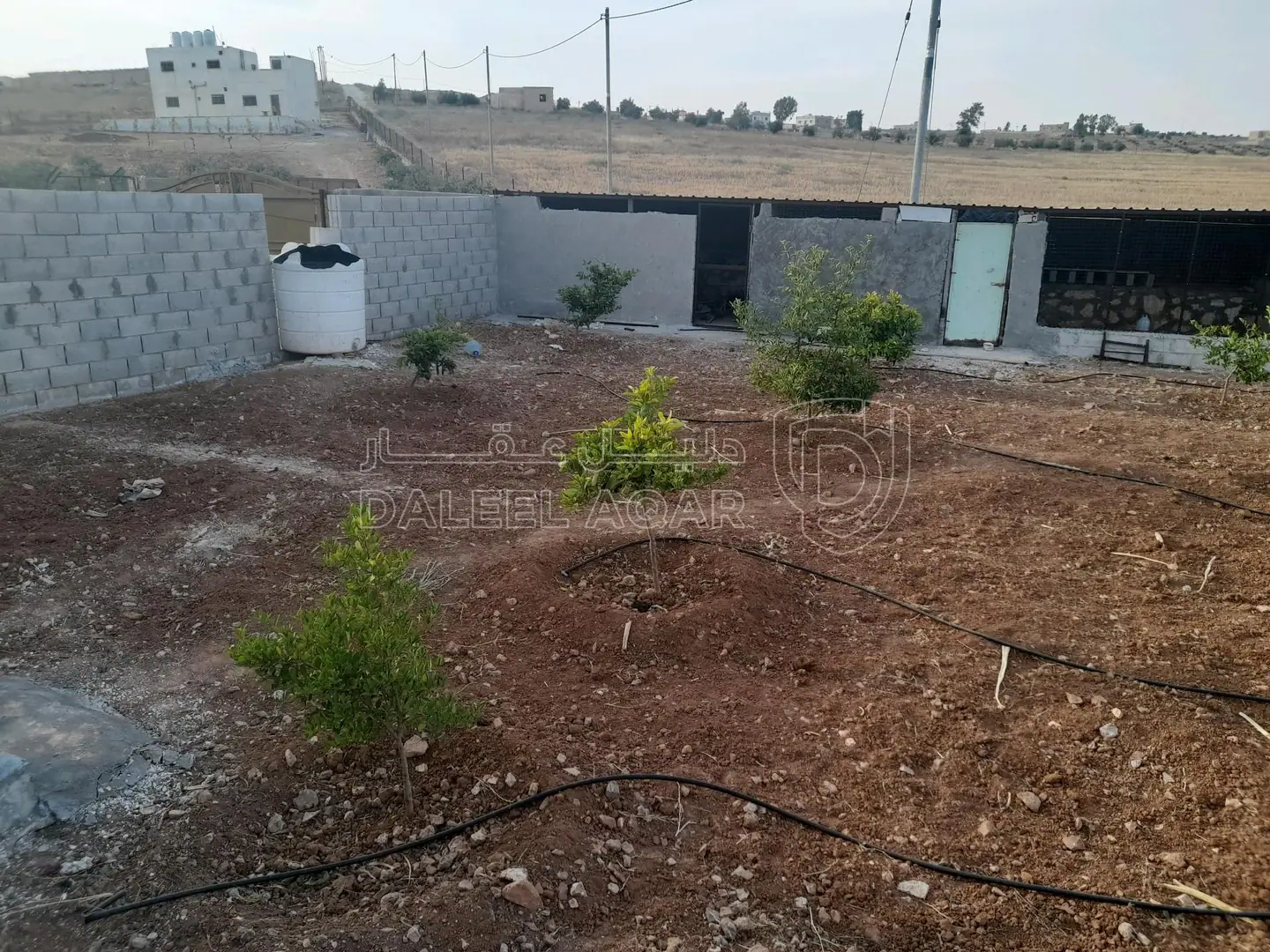 أرض في المفرق البويضه حوض دلعب - 40,000 دأ - صورة 1