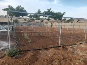 أرض في المفرق البويضه حوض دلعب - 40,000 دأ - صورة NaN