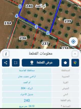 أرض - قطعة اوض مميزه مشجرة زيتون و مسورة منطقة فلل - 220000 دأ