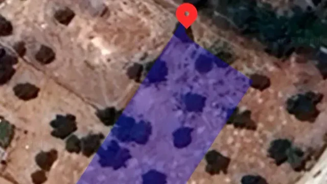 أرض - عمان بدر الجديده شارع ال البيت - 220000 دأ