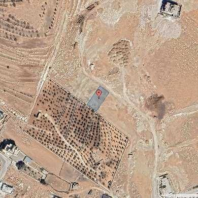 أرض في شفا بدران/ مرج الأجرب - قرب مسجد الحاج معود - 85,000 دأ - صورة 1