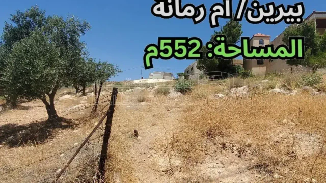 أرض - بيرين/ أم رمانة - قرب مسجد أم رمانة - 40000 دأ