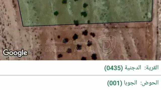أرض في ارض زراعية في المفرق - 20,000 دأ - صورة 1