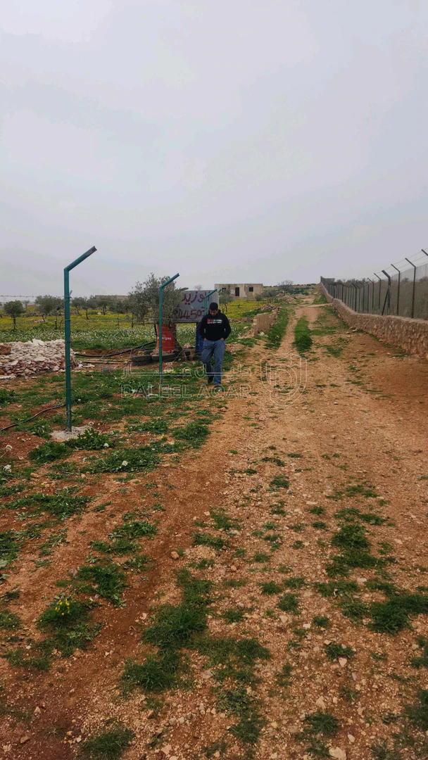 أرض في اربد النعيمه خلف جامعة اربد الاهليه - 55,000 دأ - صورة 1