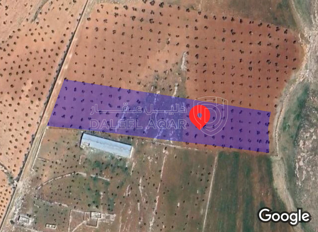 أرض في اربد النعيمه خلف جامعة اربد الاهليه - 55,000 دأ - صورة 1