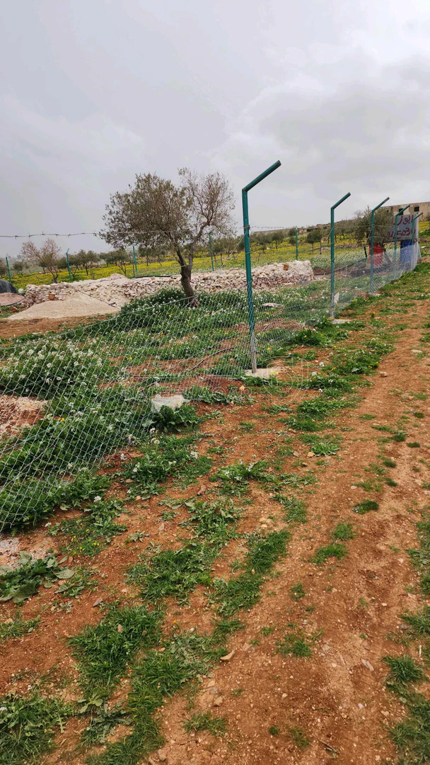 أرض في اربد النعيمه خلف جامعة اربد الاهليه - 55,000 دأ - صورة 1