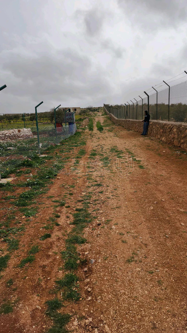 أرض في اربد النعيمه خلف جامعة اربد الاهليه - 55,000 دأ - صورة 1