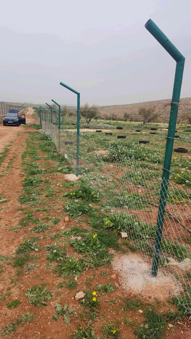 أرض في اربد النعيمه خلف جامعة اربد الاهليه - 55,000 دأ - صورة 1