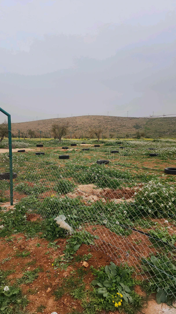 أرض في اربد النعيمه خلف جامعة اربد الاهليه - 55,000 دأ - صورة 1