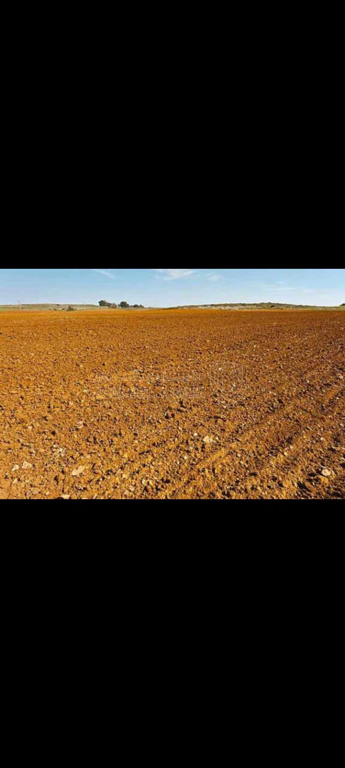 أرض في ارض للبيع تبعد عن المدينه الجديده  عمره 1ونص كيلو - 140,000 دأ - صورة 1