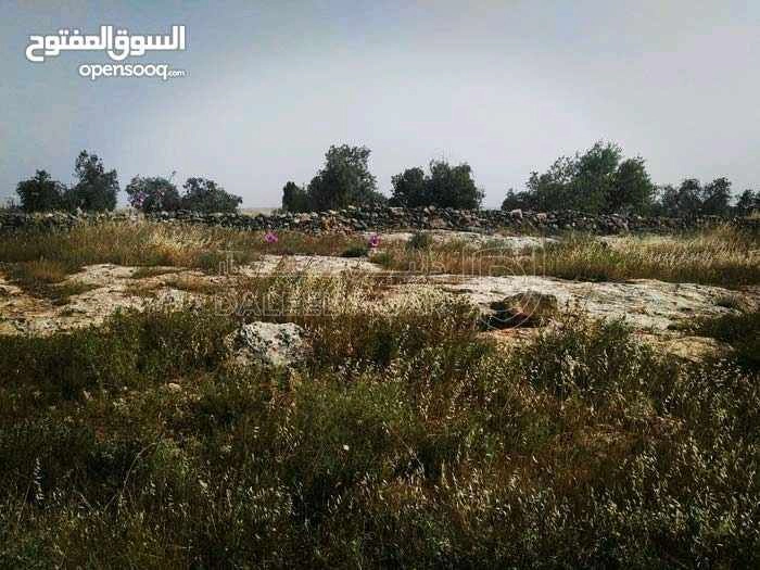 أرض في إربد - اسعرا - 60,000 دأ - صورة 1