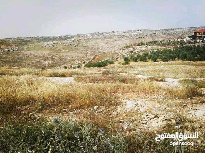 أرض في إربد - اسعرا - 60,000 دأ - صورة 1