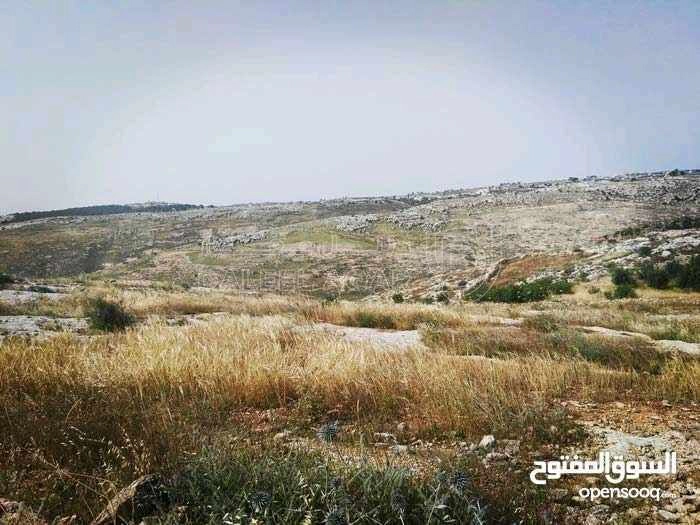 أرض في إربد - اسعرا - 60,000 دأ - صورة 1