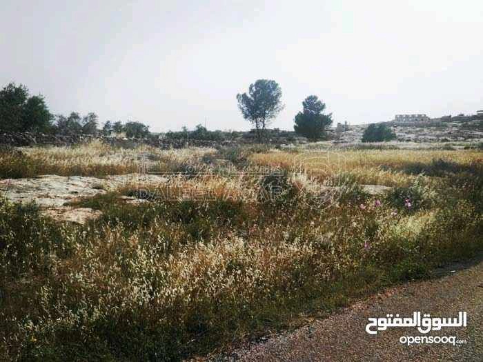 أرض في إربد - اسعرا - 60,000 دأ - صورة 1