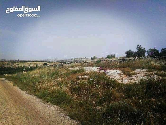 أرض في إربد - اسعرا - 60,000 دأ - صورة 1