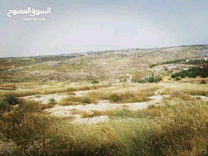 أرض في إربد - اسعرا - 60,000 دأ - صورة 1