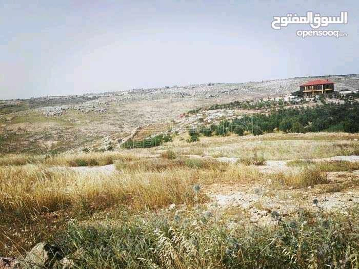 أرض في إربد - اسعرا - 60,000 دأ - صورة 1