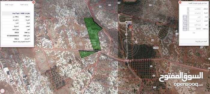 أرض في إربد - اسعرا - 60,000 دأ - صورة 1