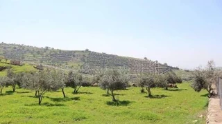 أرض - فرصة استثمارية مميزة جداً في بدر الجديدة - الكاشف - 1119000 دأ