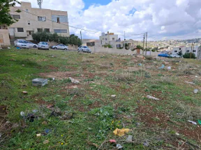 أرض في الحصن حوض ظهر الخربة  - 80,000 دأ - صورة NaN