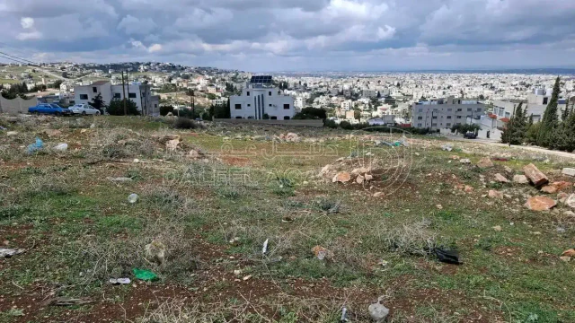 أرض - الحصن حوض ظهر الخربة  - 80000 دأ
