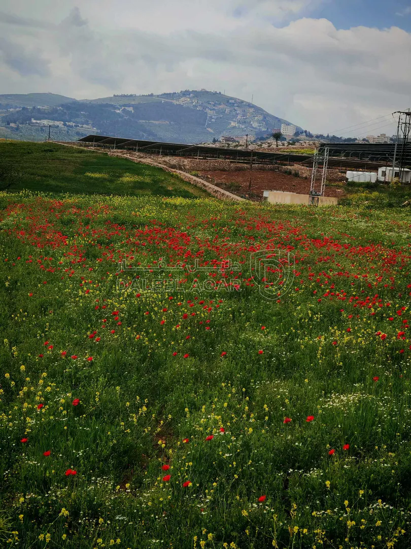 أرض في السلط ام العمد - 200,000 دأ - صورة 1